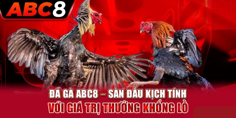 Lưu ý trong cách chọn màu gà chiến tại ABC8