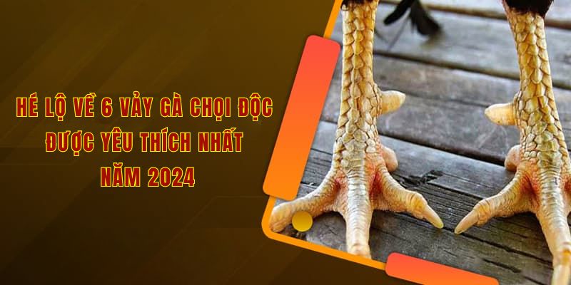 Hé lộ về 6 vảy gà chọi độc được yêu thích nhất năm 2024