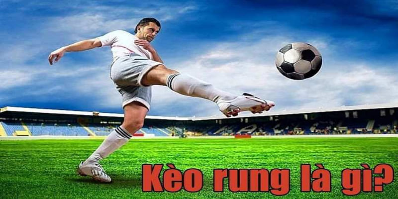 Thông tin sơ lược về kèo rung bóng đá