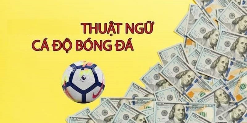 Thuật ngữ cá độ bóng đá thông dụng người chơi cần nắm